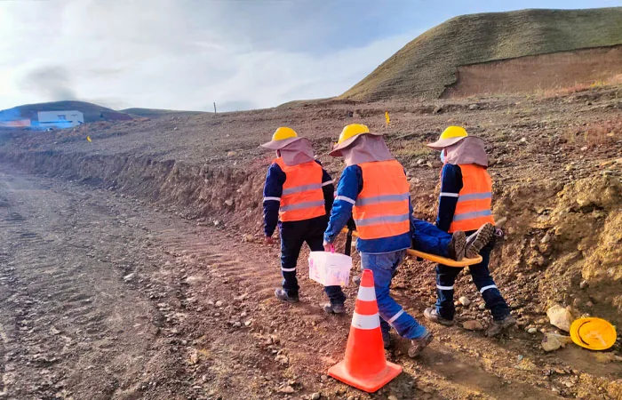 Gerencia Ambiental y Seguridad